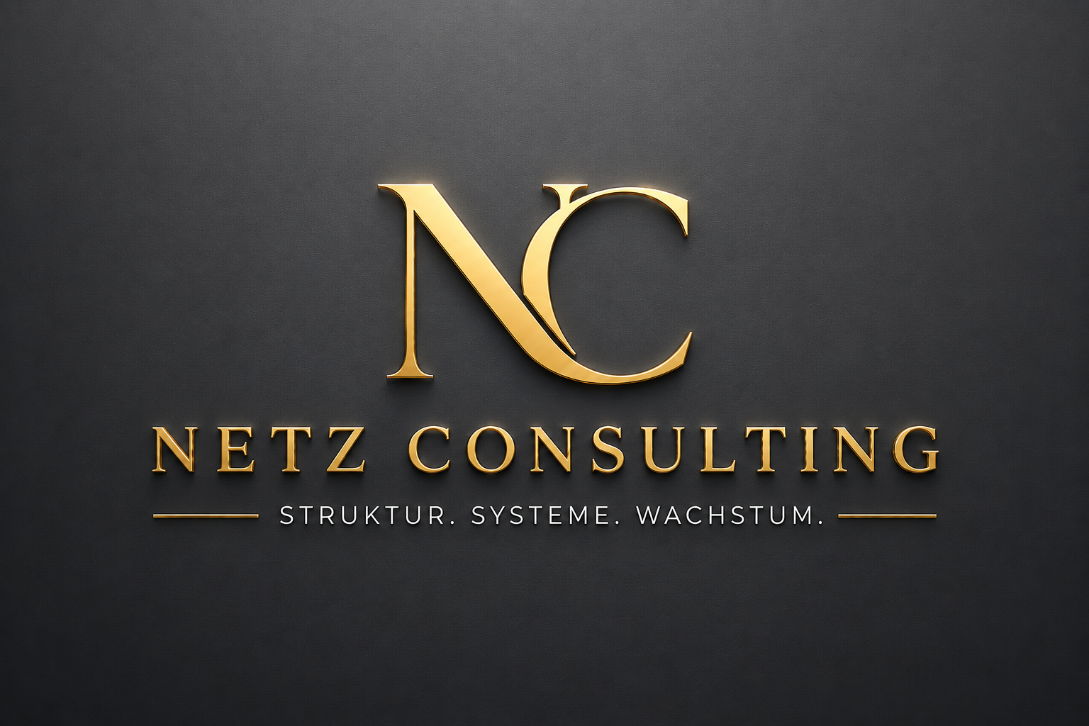 BirolYilmaz-Net Consulting